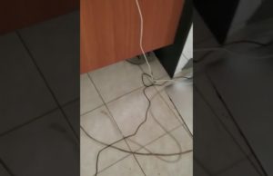 Saccage de « les échos »: voici les images