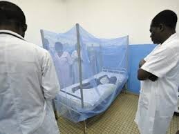 Paludisme: une hausse des cas notée au Sénégal
