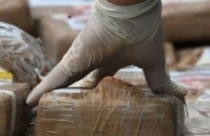 Affaire des 1036 kg de cocaïne saisis au Port de Dakar : Le Doyen des juges envoie 12 personnes devant la Chambre criminelle, libère les Allemands et les Italiens