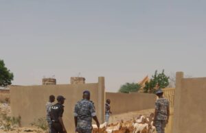 La brigade de gendarmerie de Kael démantèle un réseau de voleurs de bétail*