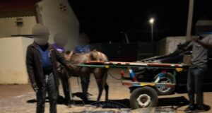 LUTTE CONTRE LE TRAFIC DE DROGUE : 360 KG DE CHANVRE INDIEN SAISIS A JOAL*