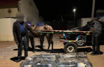 LUTTE CONTRE LE TRAFIC DE DROGUE : 360 KG DE CHANVRE INDIEN SAISIS A JOAL*