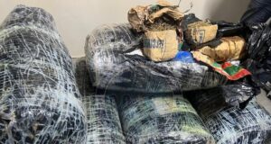 PLUS DE 300 KG DE CHANVRE INDIEN SAISIS A THIAROYE