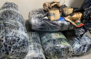 PLUS DE 300 KG DE CHANVRE INDIEN SAISIS A THIAROYE